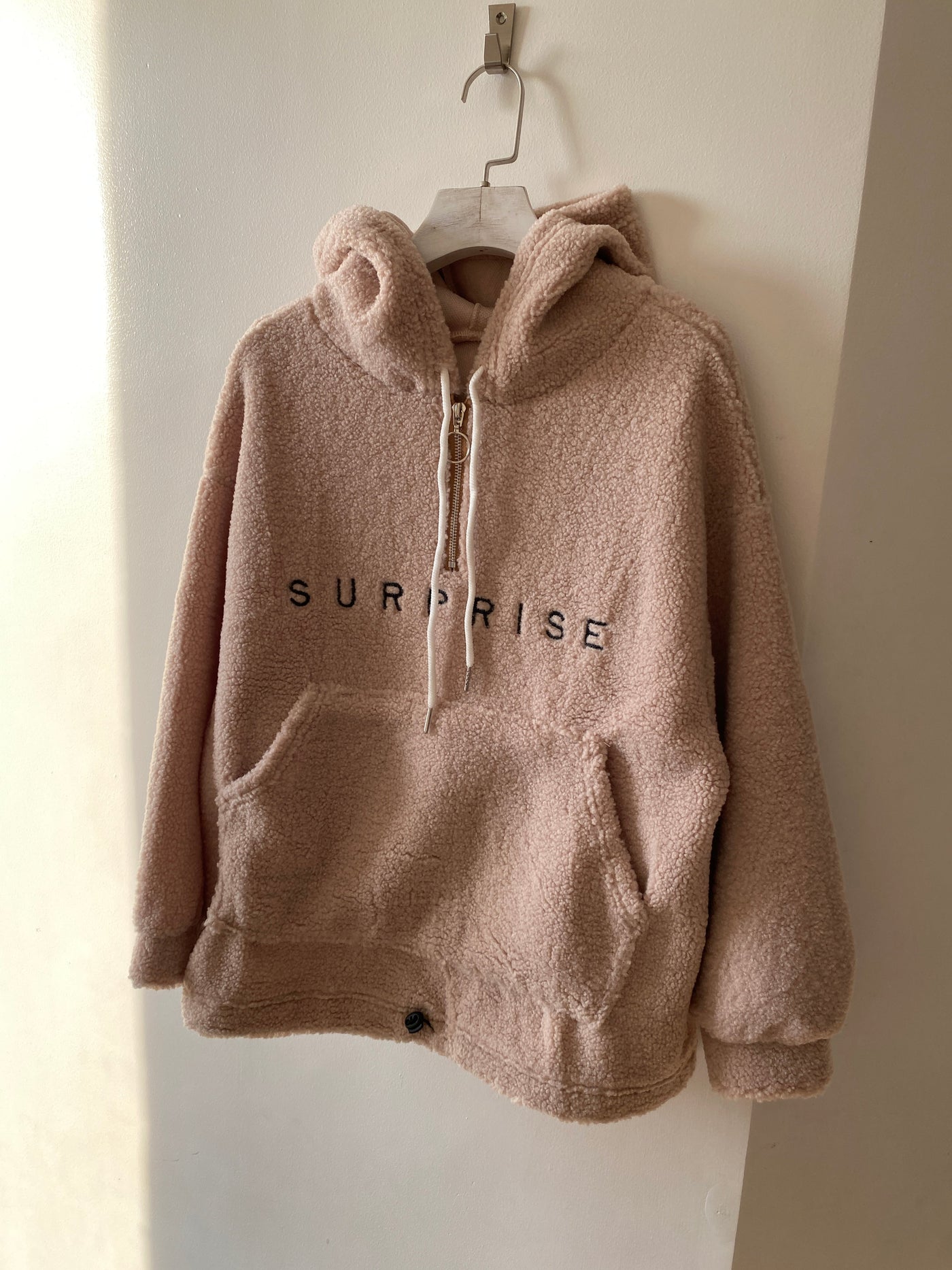 Embroidered Teddy Hoodie
