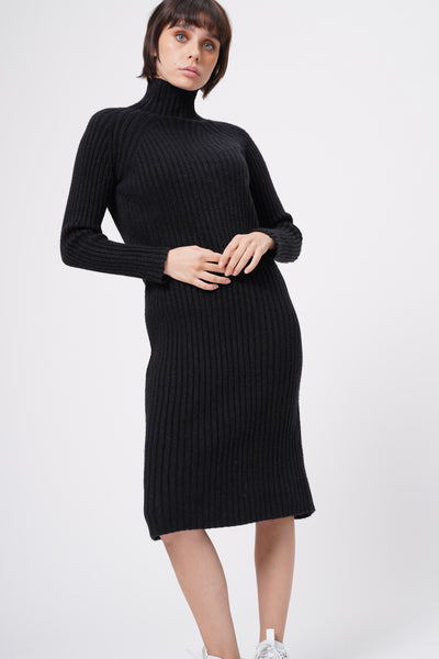 Spoke Too Soon High Neck Knit Dress - Black