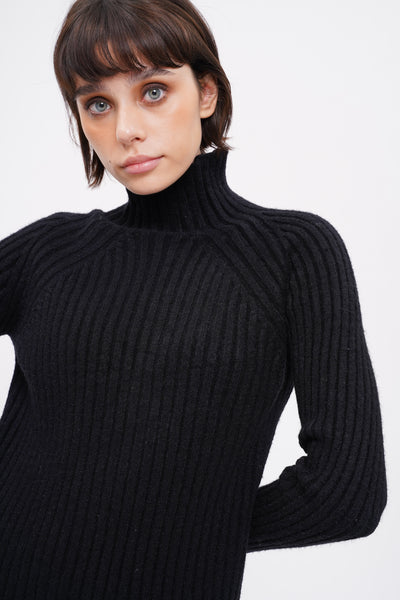 Spoke Too Soon High Neck Knit Dress - Black
