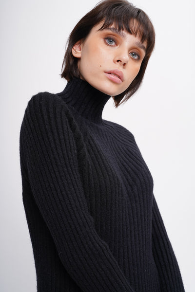 Spoke Too Soon High Neck Knit Dress - Black